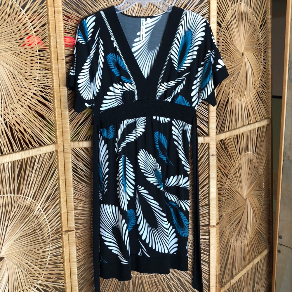 Heart Soul Retro Feather Dress